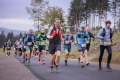 6P6A6968-Herbstlauf-Foto-Tobias-Oemus