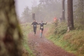 6P6A7342-Herbstlauf-Foto-Tobias-Oemus